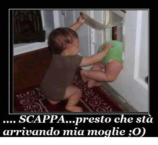 Immagine Divertente - 28/11/2012